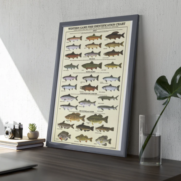 Poster Peces de Aguas Saladas